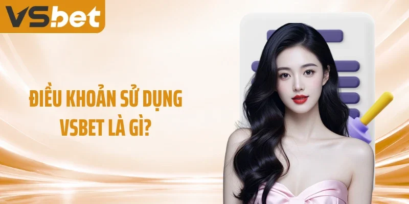 Điều khoản sử dụng VSBET là gì?