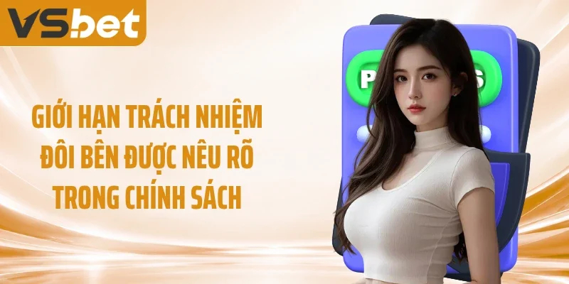 Giới hạn trách nhiệm đôi bên được nêu rõ trong chính sách