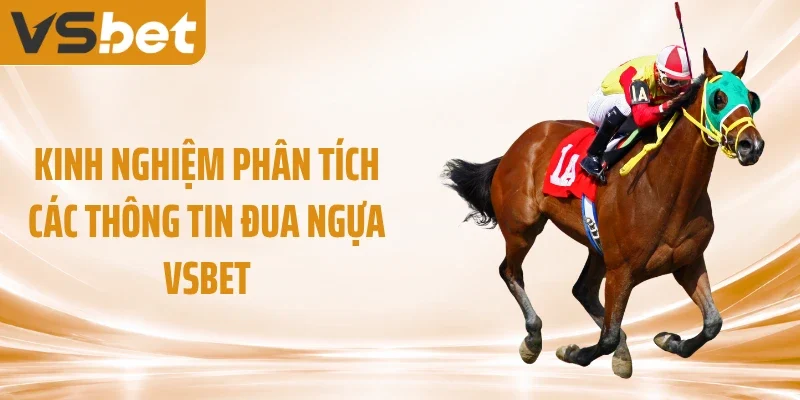 Kinh nghiệm phân tích các thông tin đua ngựa VSBET