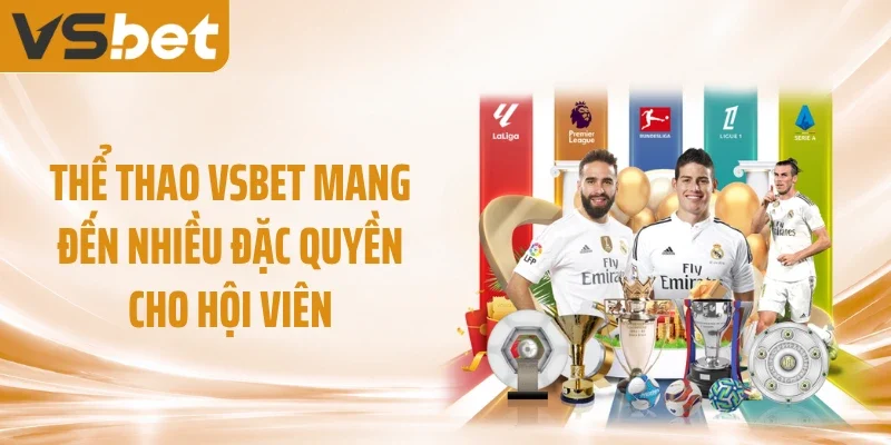 Thể thao VSBET mang đến nhiều đặc quyền cho hội viên