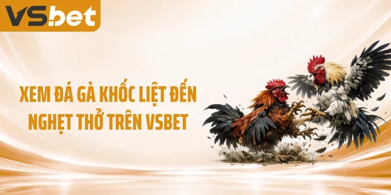 Xem đá gà khốc liệt đến nghẹt thở trên VSBET